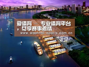 案例展示八(图1)
