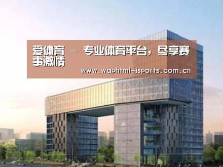 案例展示四