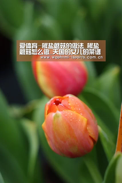 爱体育
